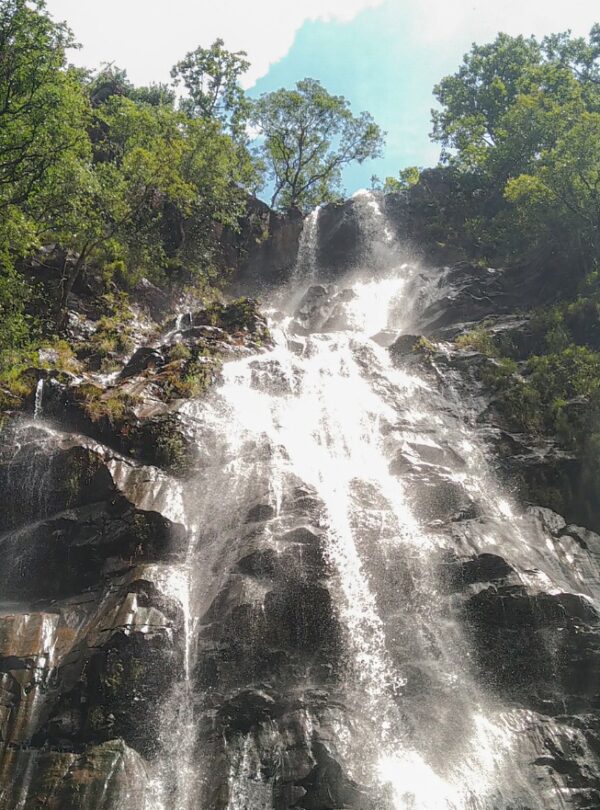 PACHMARHI nature tourism destination with waterfalls | MP VACATION INDORE