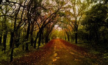 Pachmarhi hill station Satpura range Madhya Pradesh tourism | MP VACATION INDORE