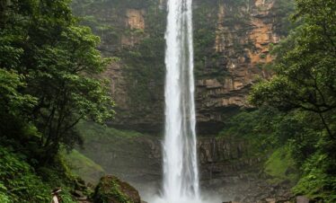 Wayanad hill station forests and waterfalls Kerala tourism | MP VACATION INDORE