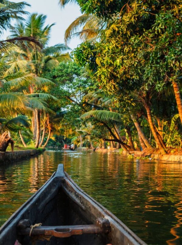 Kerala tourism destination with backwaters hills and beaches | MP VACATION INDORE