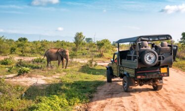 Kanha National Park tiger reserve Madhya Pradesh wildlife | MP VACATION INDORE