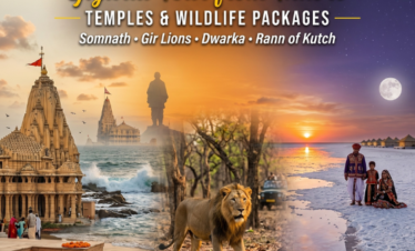 Gujarat Tour Packages from Indore – Temples & Wildlife